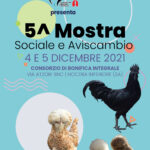 Locandina 5° mostra