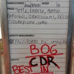 IMG-20231118-WA0134