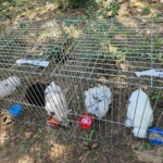 IMG-20240901-WA0021