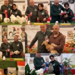 IMG_20231121_124913