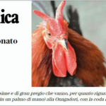 httpsnapoli.repubblica.it...a_ercolano_il...