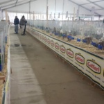 IMG-20191119-WA0015