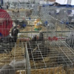 IMG-20191119-WA0024