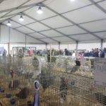 IMG-20191119-WA0030