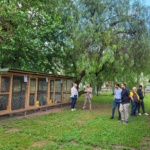 IMG-20240522-WA0005